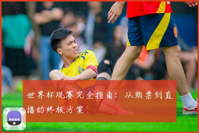世界杯观赛完全指南:从购票到直播的终极方案